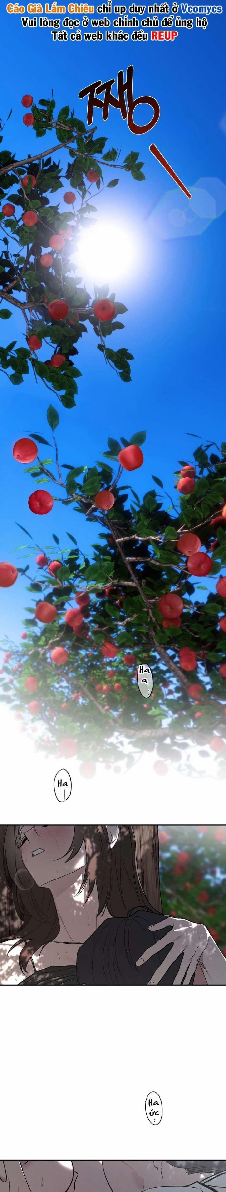 [18+] Chuyện Tình Vườn Cây Ăn Quả 1 trang 0