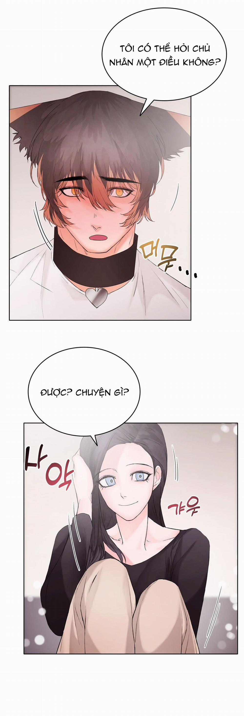 [18+] Cún Con Của Chủ Nhân 9.2 trang 5