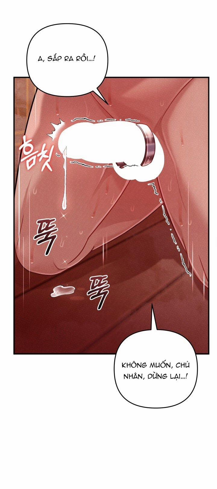 [18+] Độc Chiếm Và Hủy Diệt 18.2 trang 9