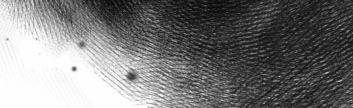 [18+] Độc Chiếm Và Hủy Diệt 20.2 trang 62