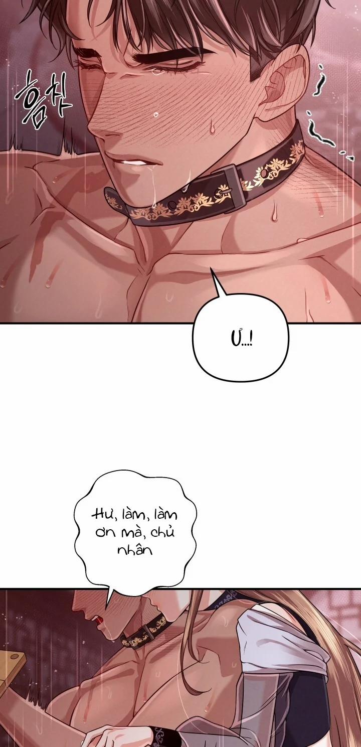 [18+] Độc Chiếm Và Hủy Diệt 32.1 trang 11