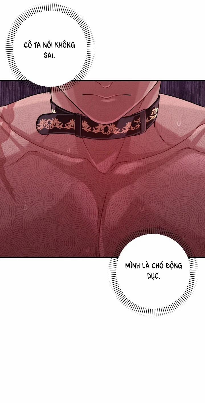 [18+] Độc Chiếm Và Hủy Diệt 32.2 trang 21