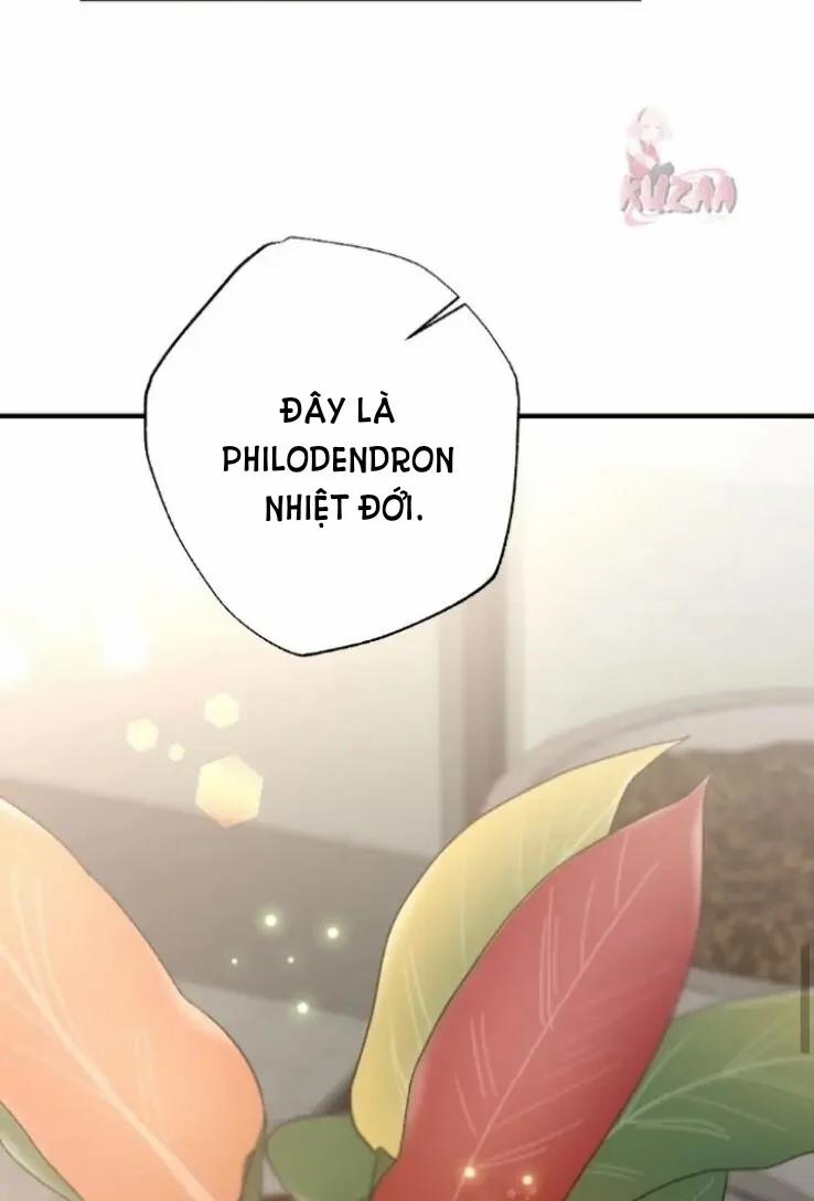 [18+] Dục Vọng Đen Tối 53 trang 28