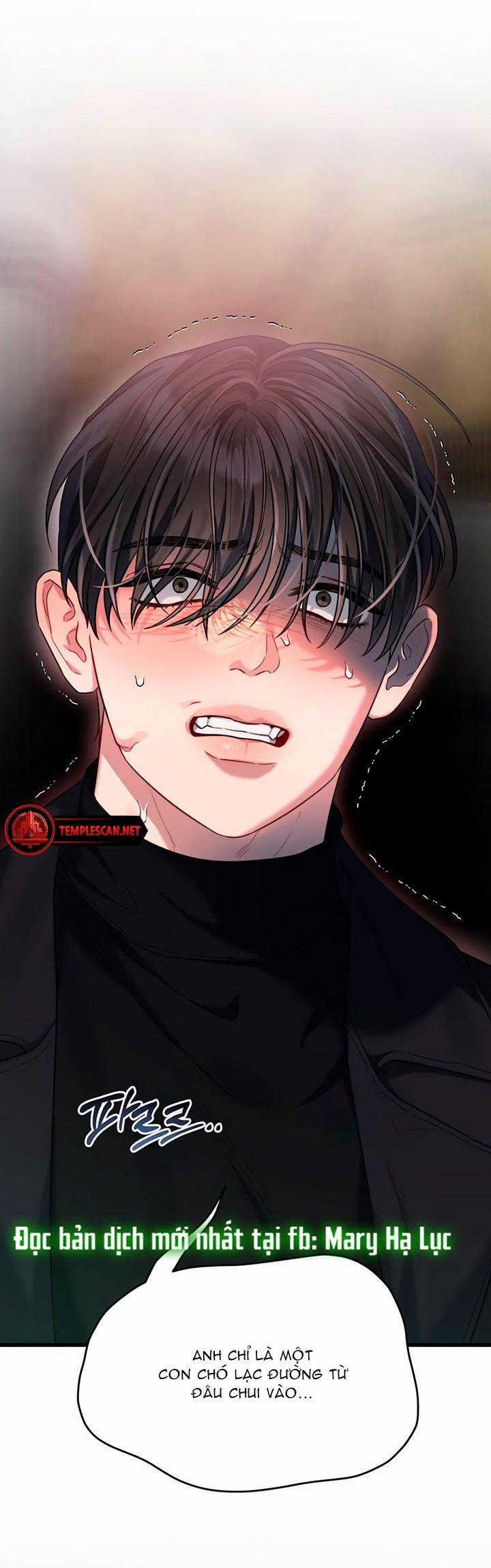 [18+] Dục Vọng Tao Nhã 39.2 trang 37