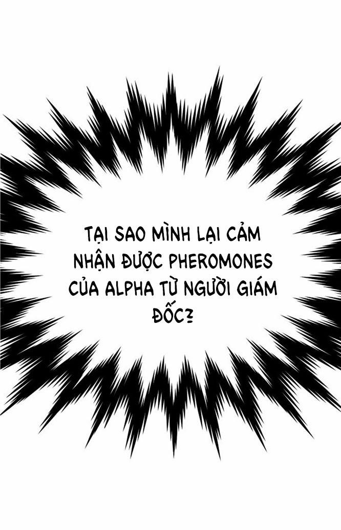[18+] Em Sẽ Chọn Alpha Nào~ 21 trang 2