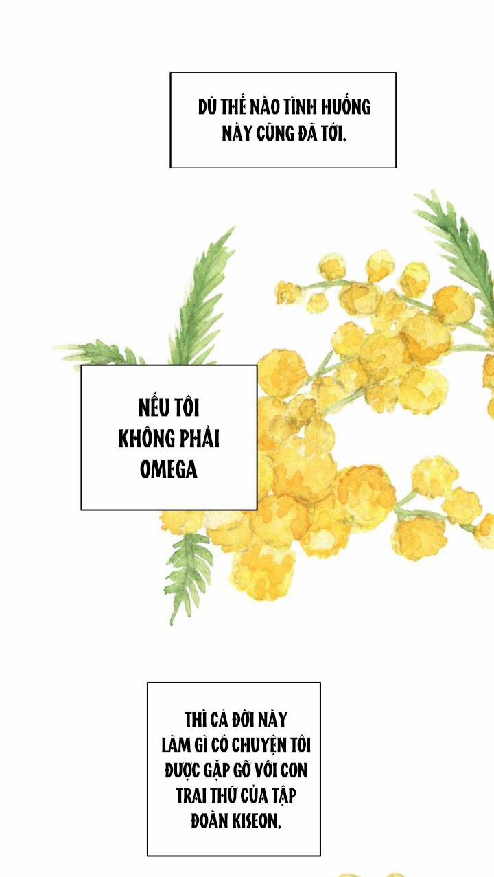 [18+] Em Sẽ Chọn Alpha Nào~ 21 trang 32