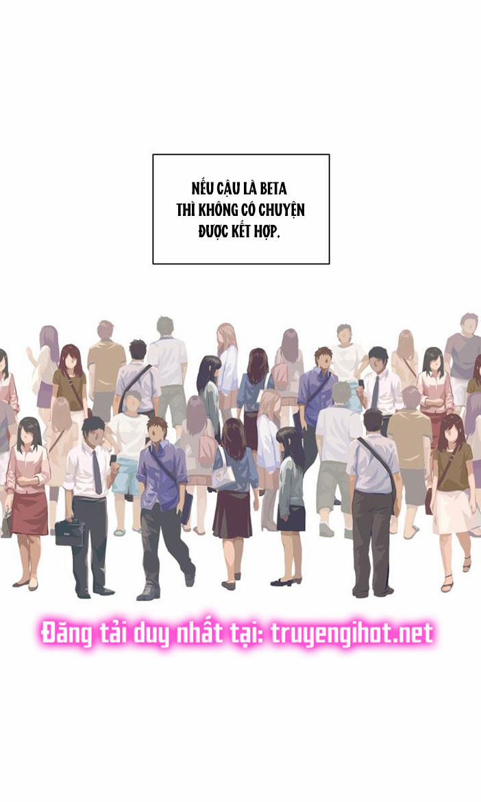[18+] Em Sẽ Chọn Alpha Nào~ 26.5 trang 17