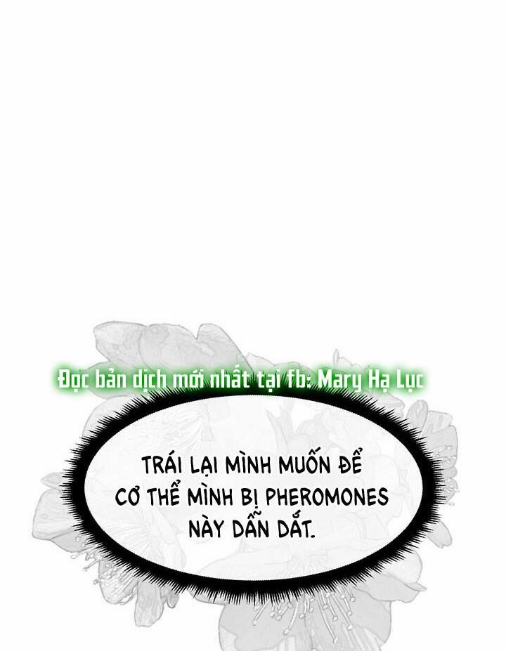 [18+] Em Sẽ Chọn Alpha Nào~ 29.2 trang 33