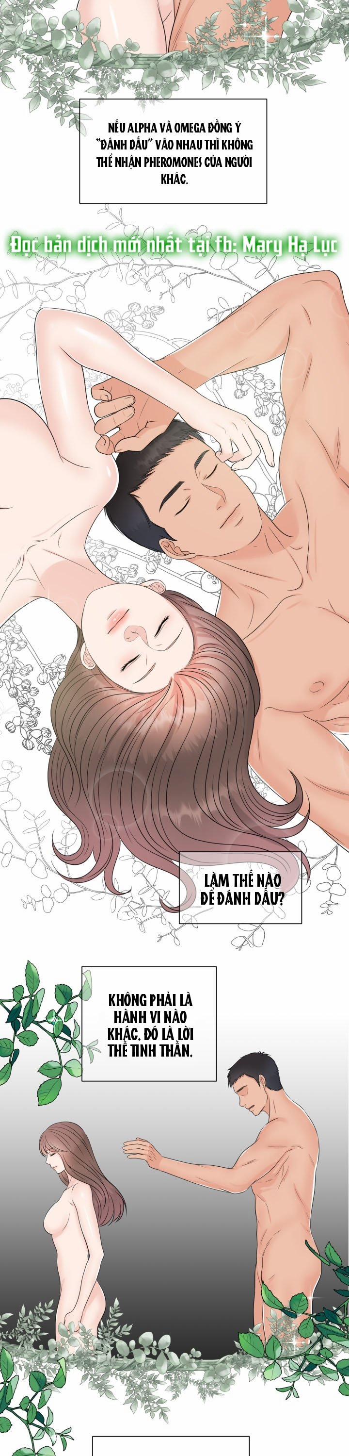 [18+] Em Sẽ Chọn Alpha Nào~ 3 trang 2