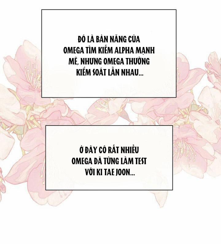 [18+] Em Sẽ Chọn Alpha Nào~ 31.5 trang 11