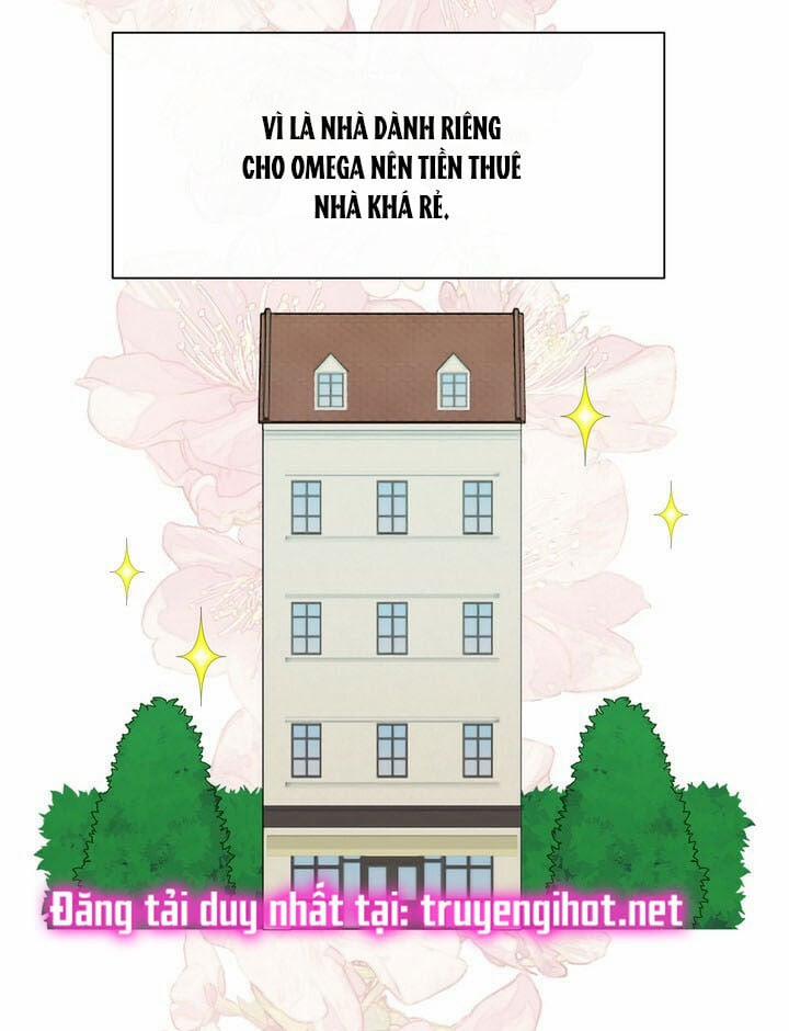[18+] Em Sẽ Chọn Alpha Nào~ 31 trang 18