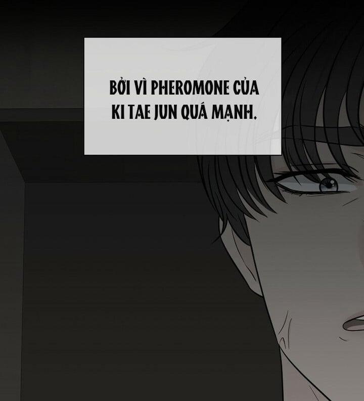 [18+] Em Sẽ Chọn Alpha Nào~ 33.5 trang 13