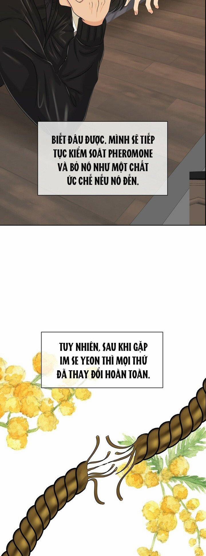 [18+] Em Sẽ Chọn Alpha Nào~ 34.5 trang 19