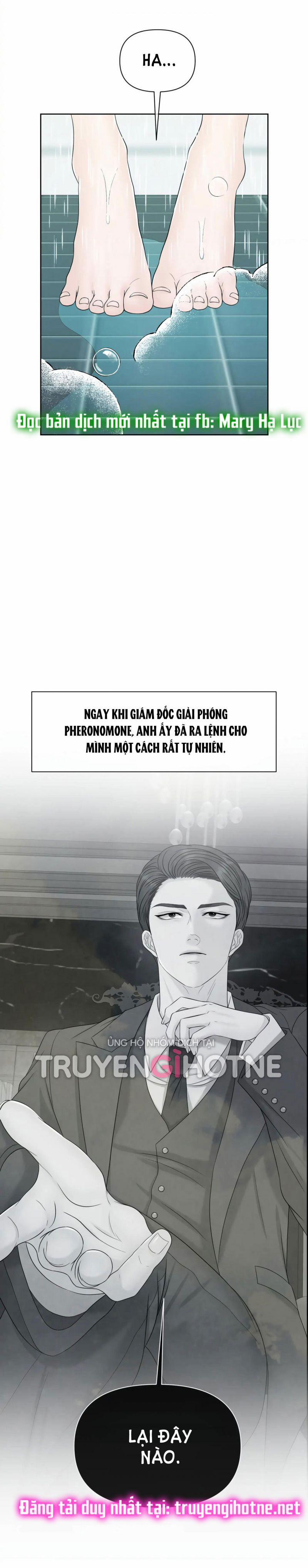 [18+] Em Sẽ Chọn Alpha Nào~ 48 trang 1
