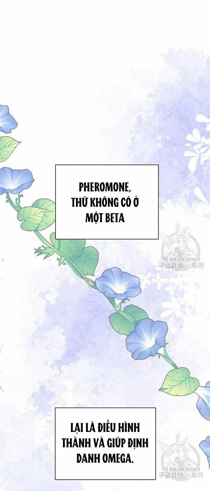 [18+] Em Sẽ Chọn Alpha Nào~ 73.2 trang 12