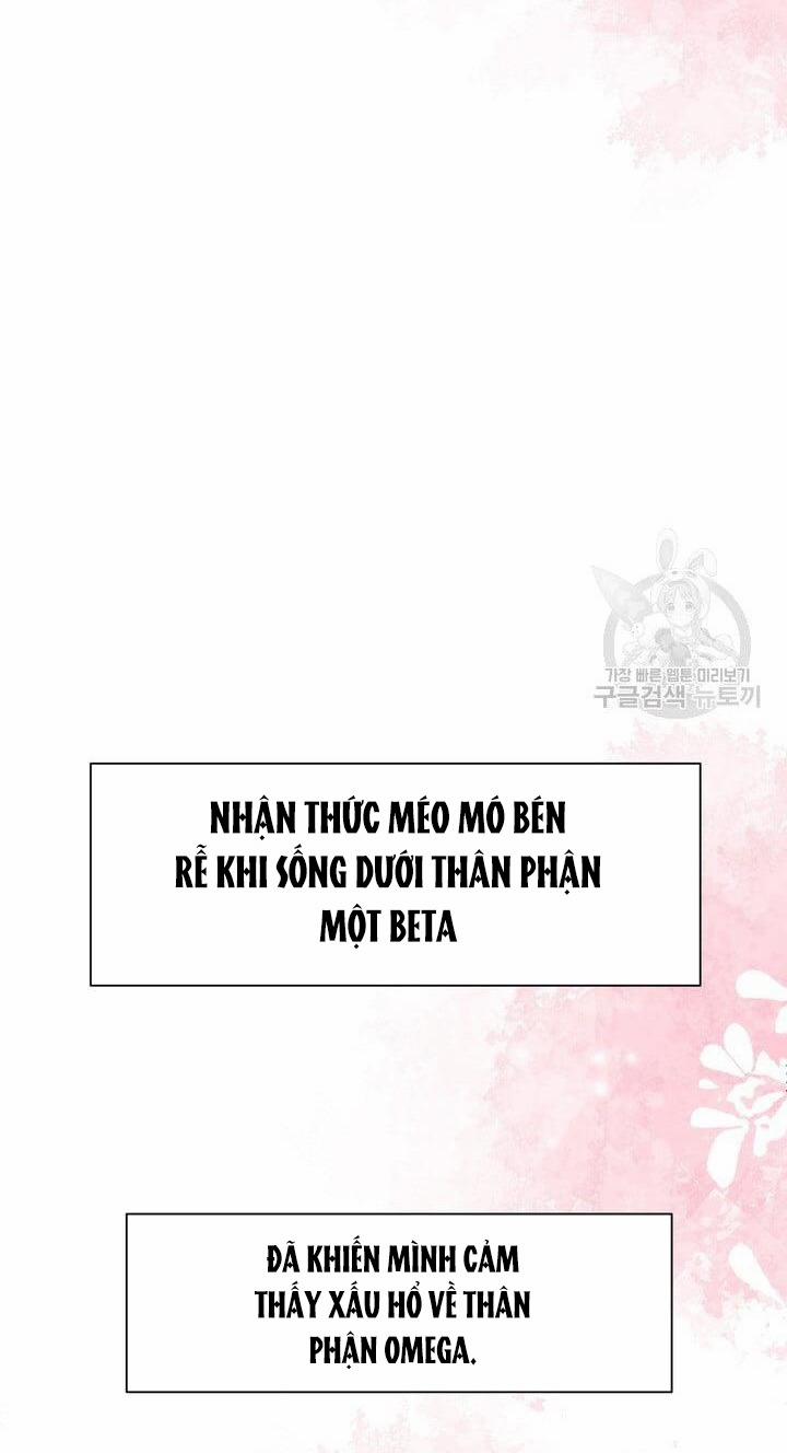 [18+] Em Sẽ Chọn Alpha Nào~ 73.2 trang 16