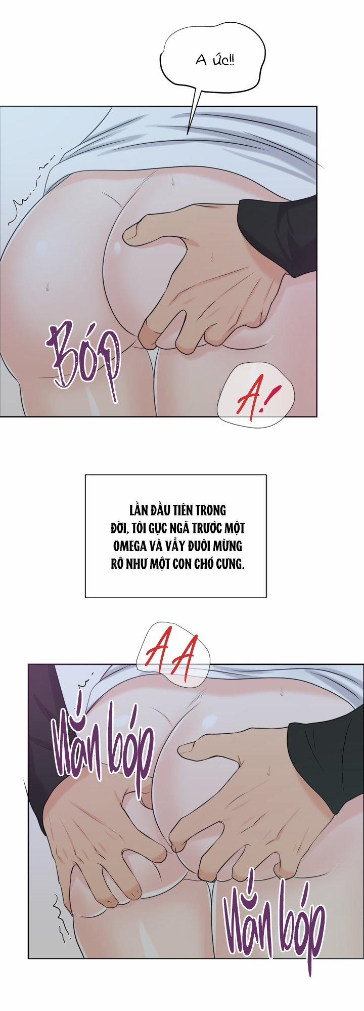 [18+] Em Sẽ Chọn Alpha Nào~ 8.2 trang 8