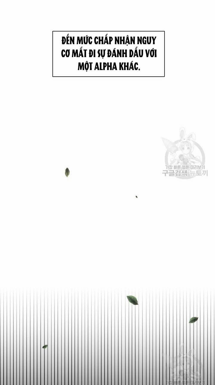 [18+] Em Sẽ Chọn Alpha Nào~ 80.2 trang 33