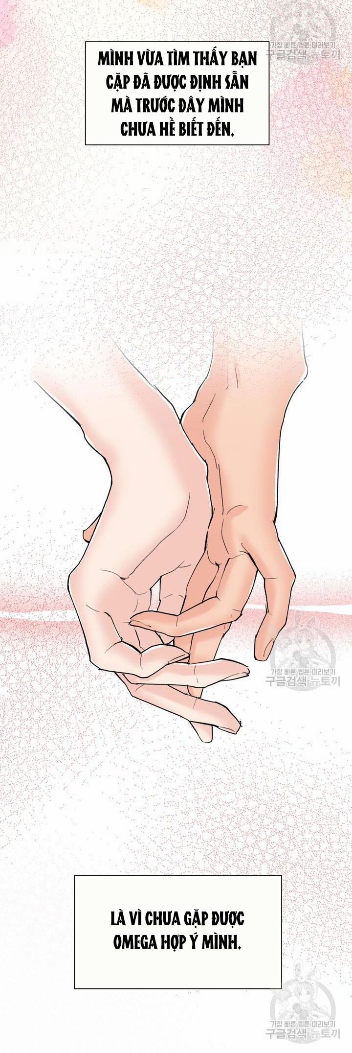 [18+] Em Sẽ Chọn Alpha Nào~ 85.2 trang 21