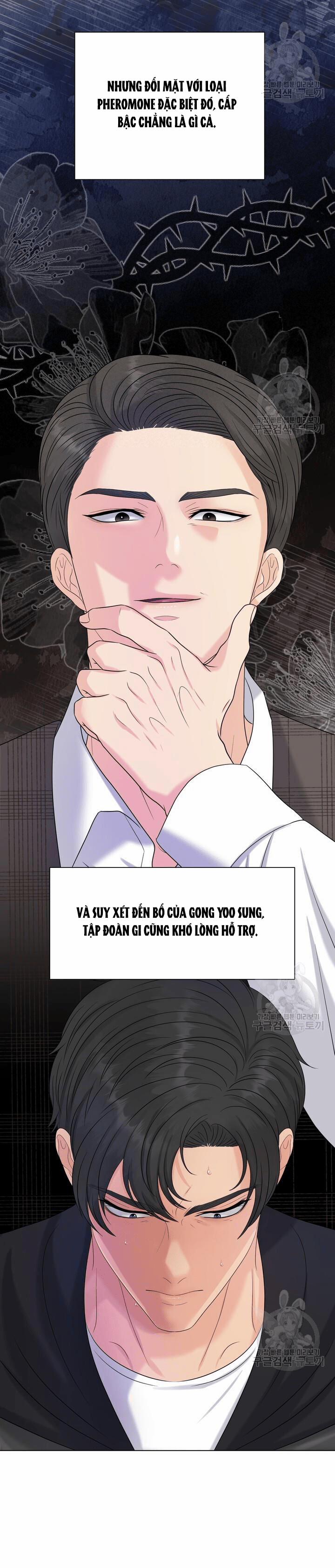 [18+] Em Sẽ Chọn Alpha Nào~ 86.2 trang 8