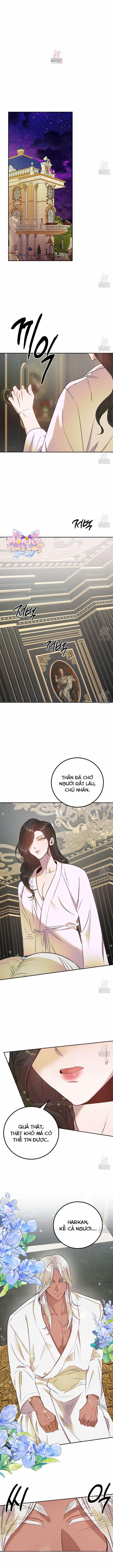 [18+] Hậu Cung Của Nữ Hoàng 5 trang 1