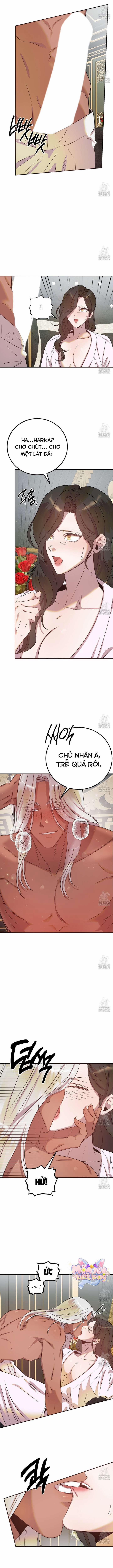[18+] Hậu Cung Của Nữ Hoàng 5 trang 10