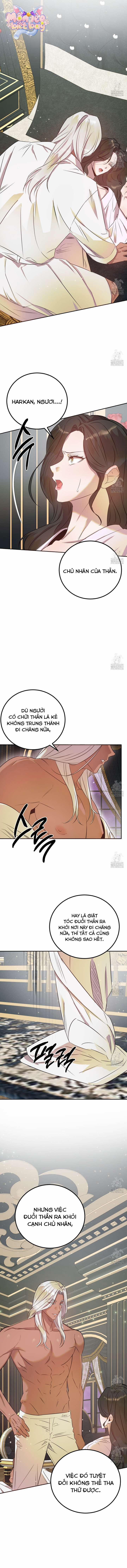 [18+] Hậu Cung Của Nữ Hoàng 5 trang 9