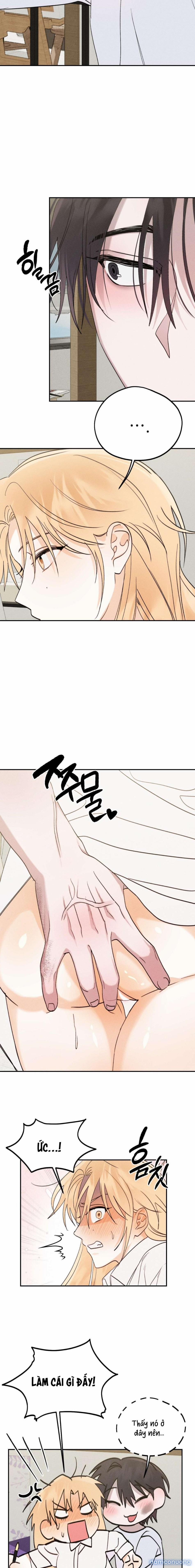 [ 18+ Không Che ] Người Đàn Ông Được Quỷ Theo Đuổi 6 trang 5