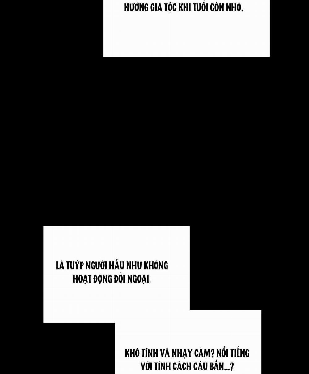 [18+] Lâu Đài Thống Trị 8.1 trang 24