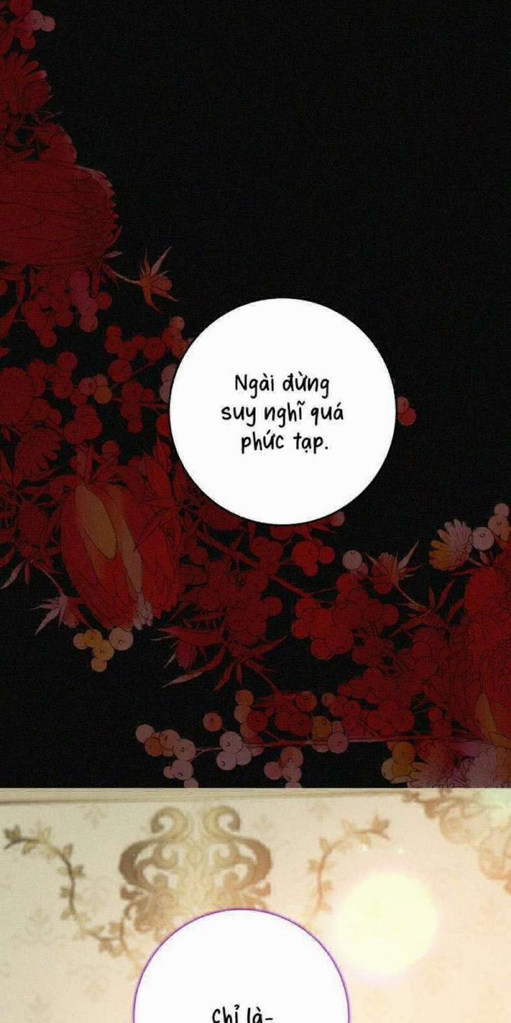 [ 18+ ] Lời Nguyền Tóc Đỏ 8 trang 26