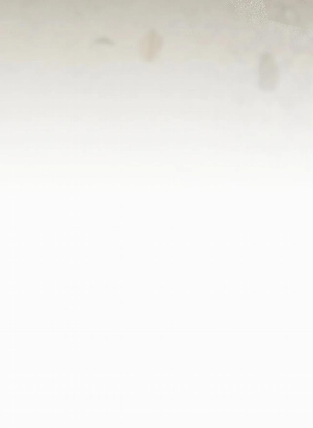 [18+] Lửa Trong Đầm Lầy 24.2 trang 53