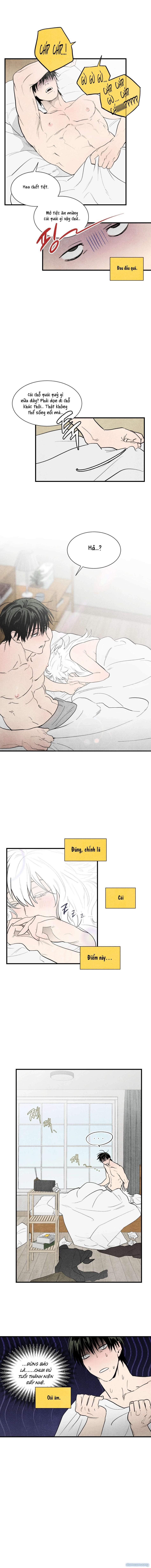 [ 18+ ] Meo~ Để Tôi Làm Cho 1 trang 3