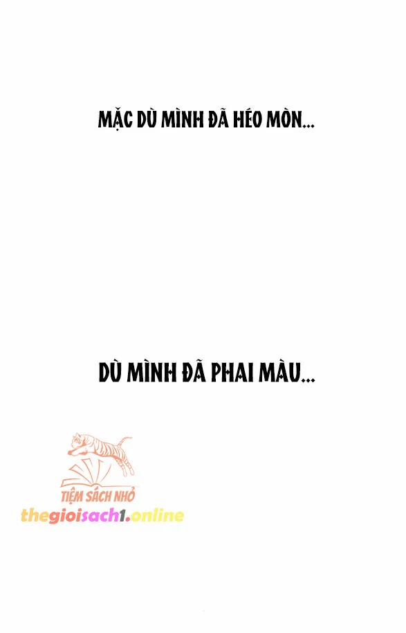 [18+] Nước Mắt Trên Đóa Hoa Tàn 36 trang 16