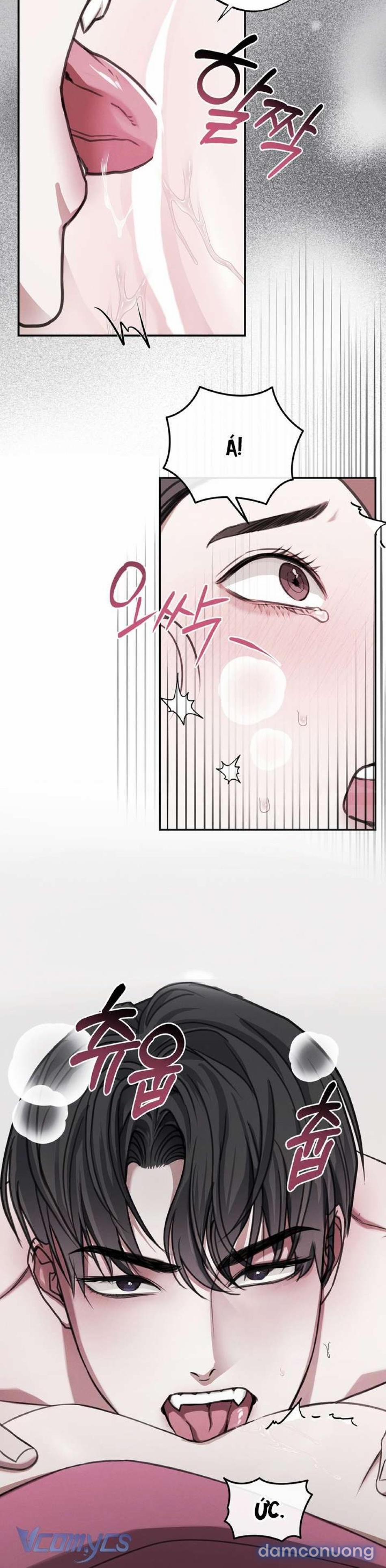 [18+] Vảy Ngược Của Rắn 1 trang 3