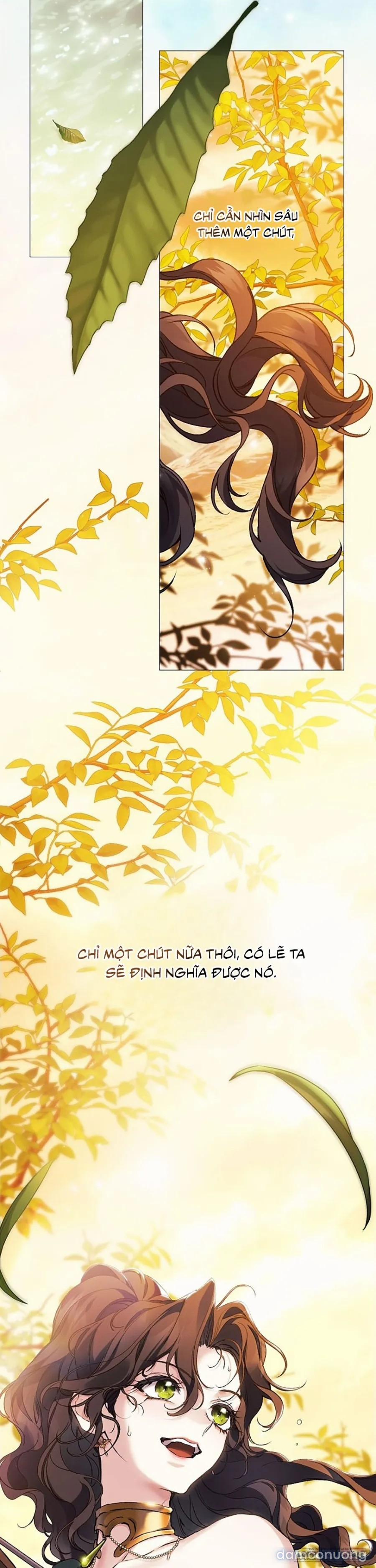 [19+] Dành Cho Các Nữ Thần: Dành Cho Daphne 34 trang 59