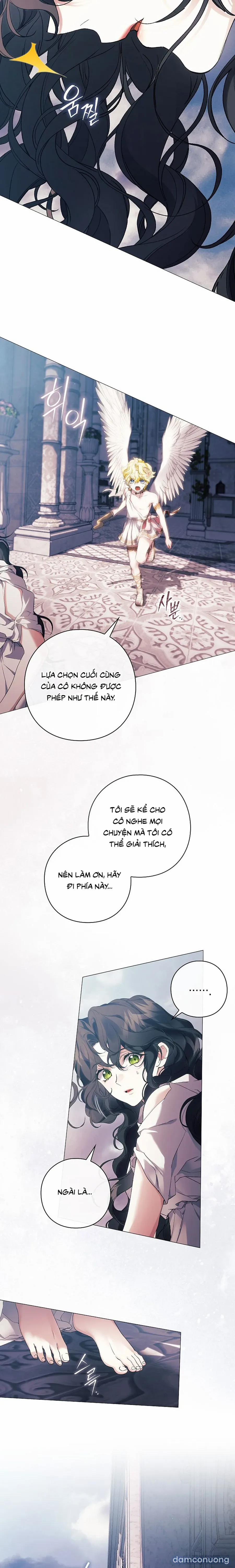 [19+] Dành Cho Các Nữ Thần: Dành Cho Daphne 38 trang 14