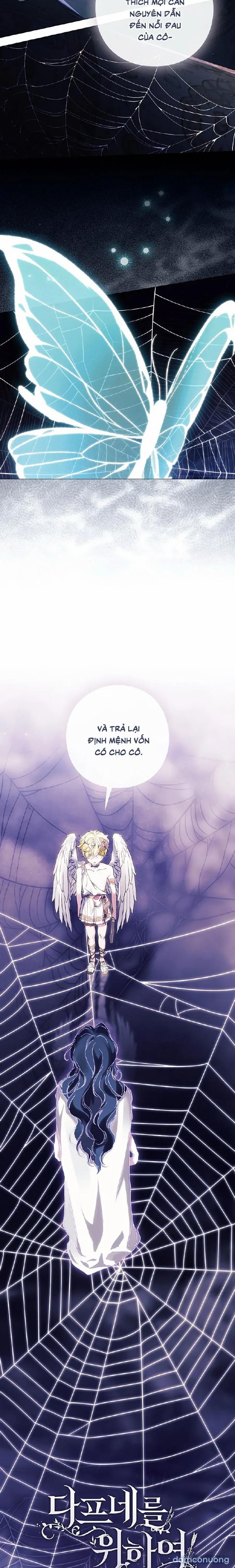 [19+] Dành Cho Các Nữ Thần: Dành Cho Daphne 39 trang 3
