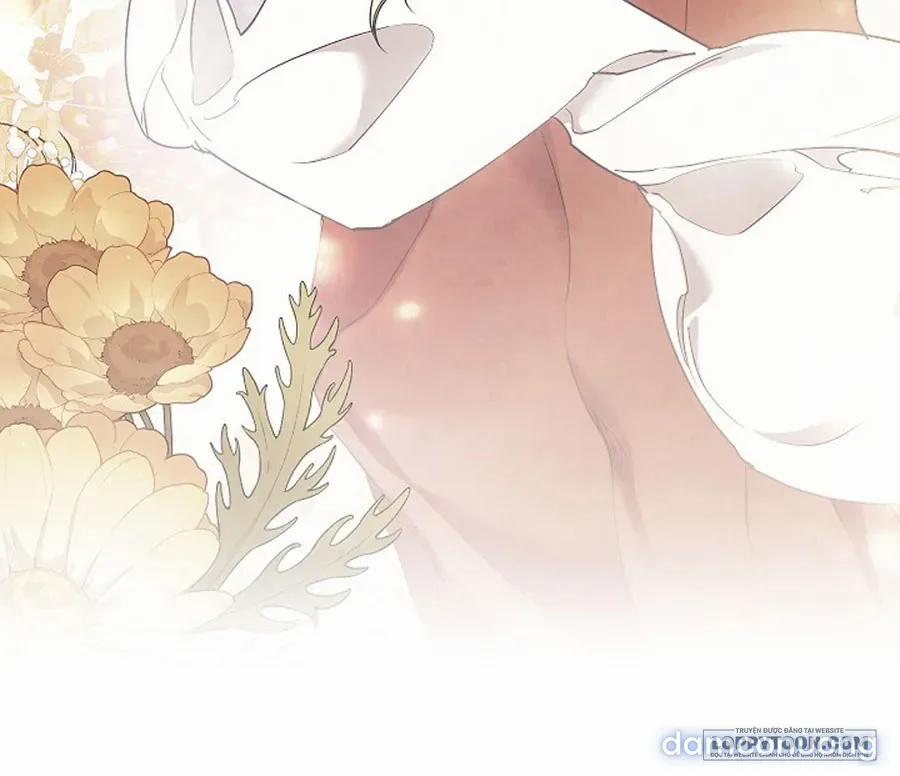 [19+] Dành Cho Các Nữ Thần: Dành Cho Daphne 42 trang 5