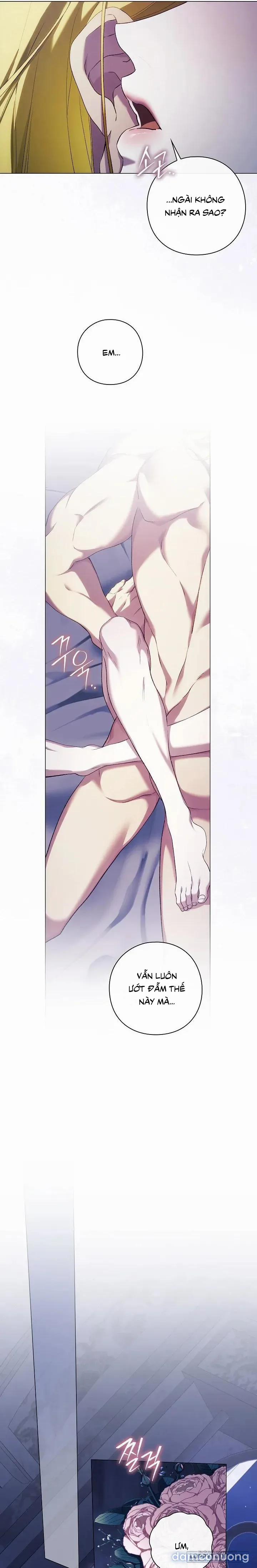[19+] Dành Cho Các Nữ Thần: Dành Cho Daphne 47 trang 17