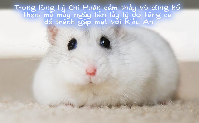 陈乔安传 终章 6 trang 36