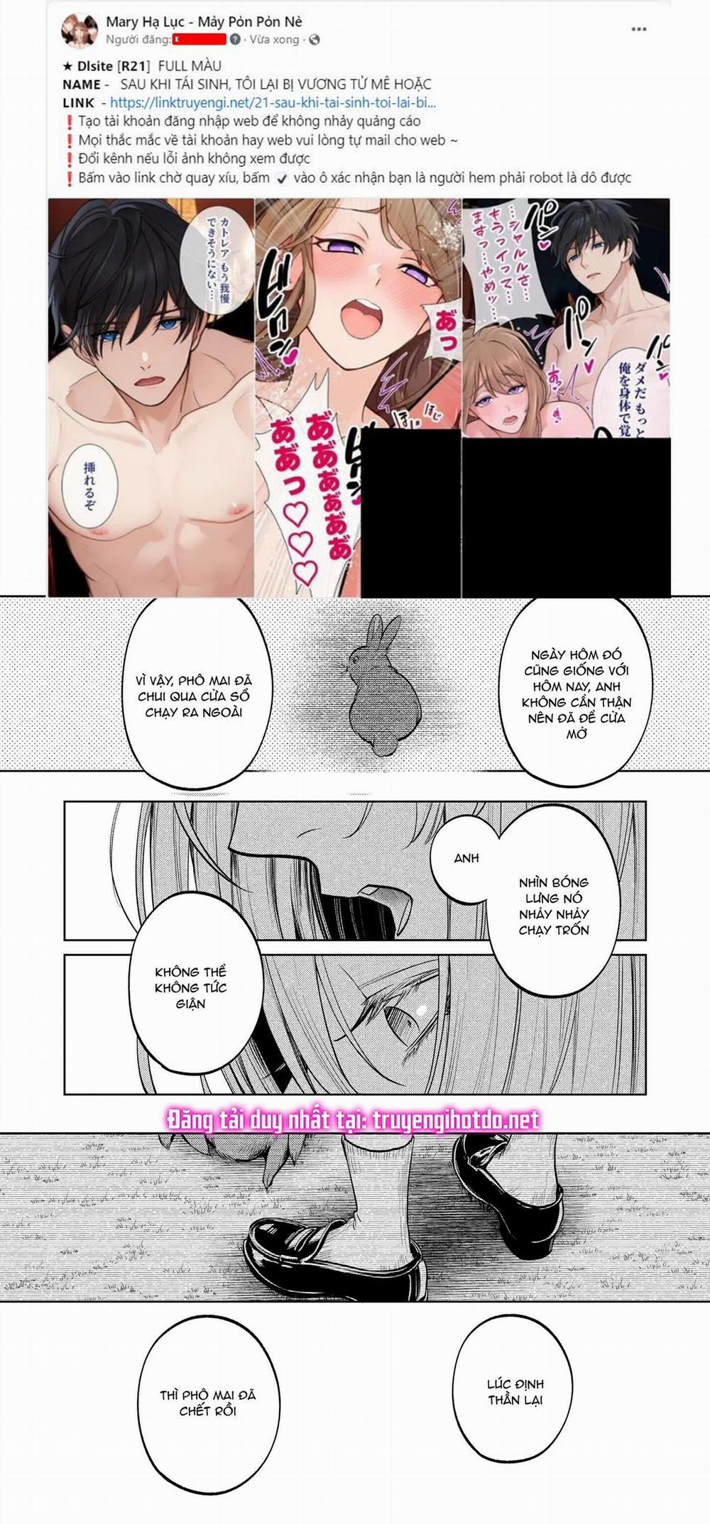 [21+] Chiếc Lồng Thỏ Ngọt Ngào Của Tôi 13 trang 1