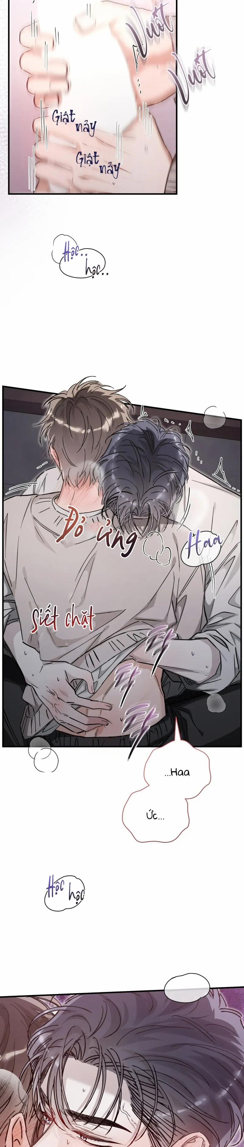 Ái Tình Trái Ngang 28 trang 8