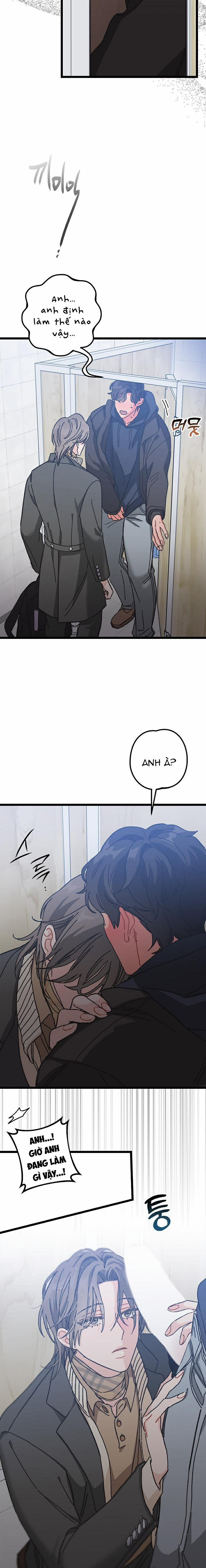 Alpha Thì Có Sao? 6 trang 13