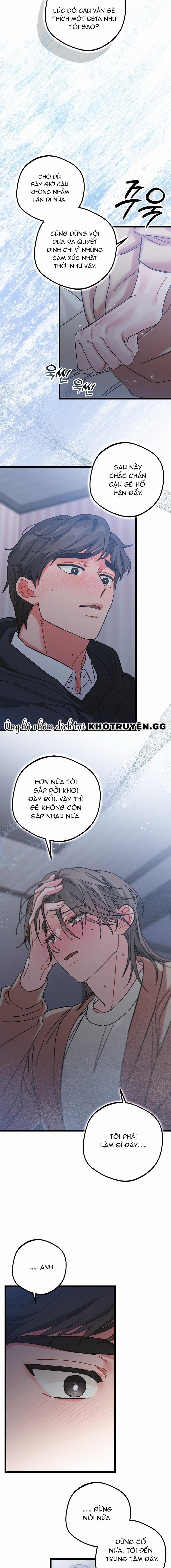 Alpha Thì Có Sao? 8 trang 12