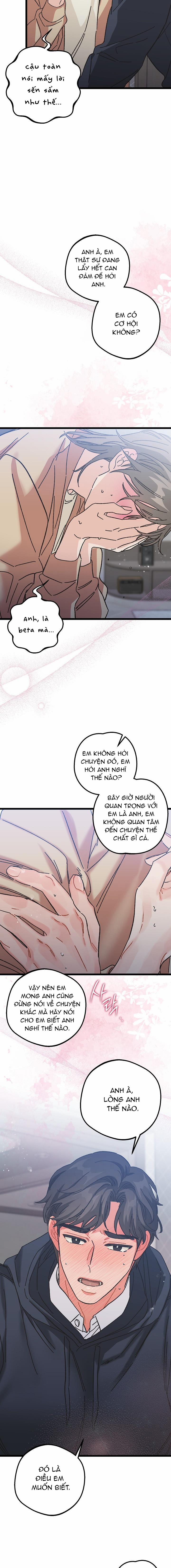 Alpha Thì Có Sao? 8 trang 15