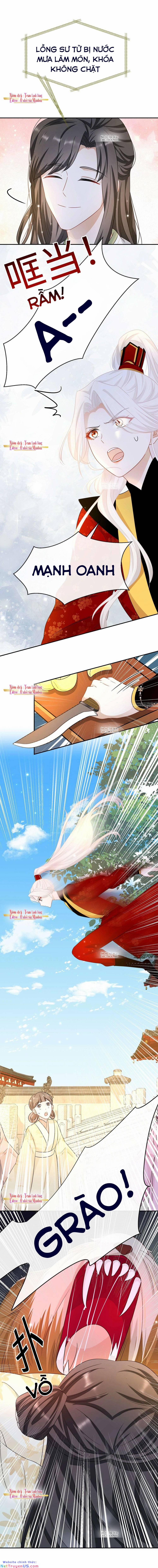 Ám Sát Nữ Hoàng Bệ Hạ 39 trang 7