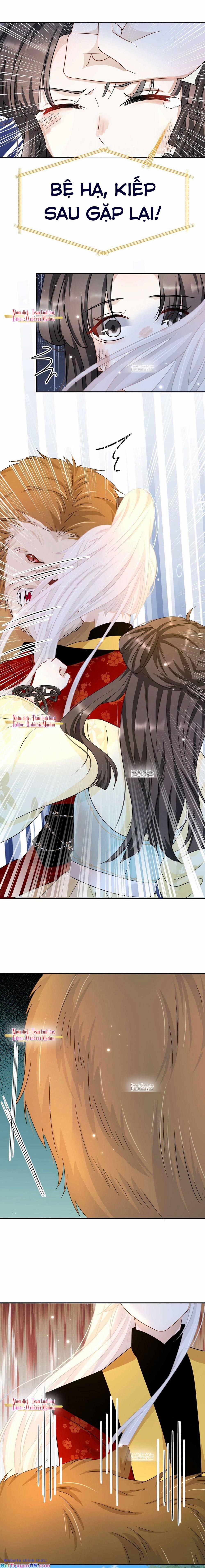 Ám Sát Nữ Hoàng Bệ Hạ 39 trang 8