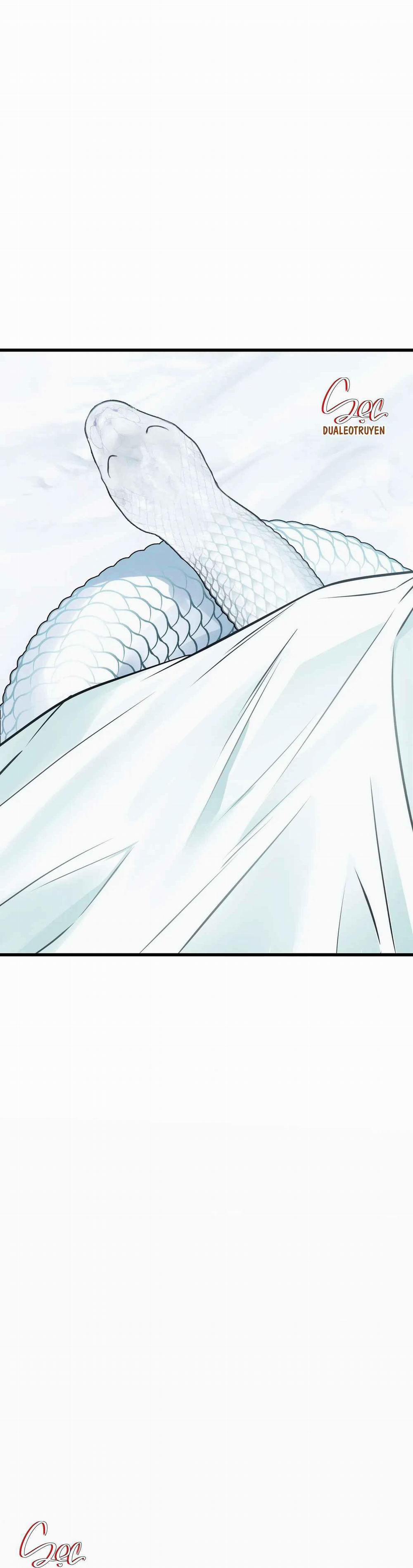 ÂN NHÂN CỦA RẮN 17 trang 15