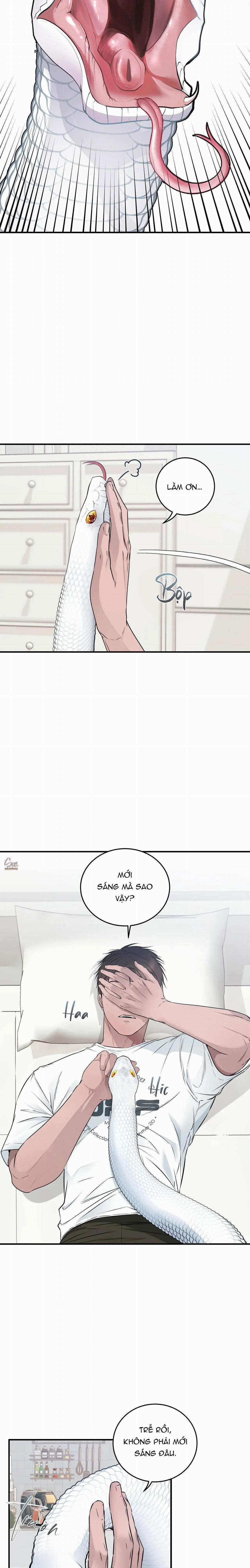 ÂN NHÂN CỦA RẮN 7 trang 14