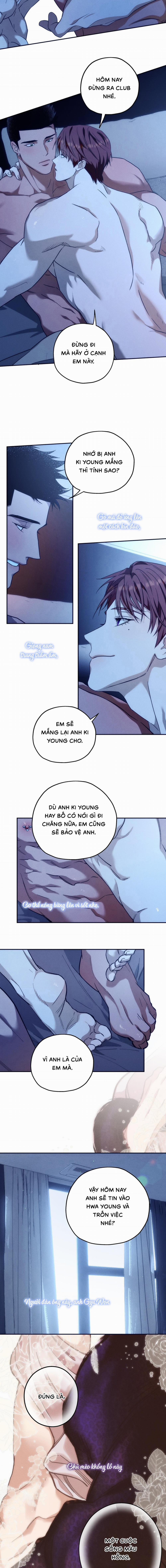 Ang Ang 100 trang 5
